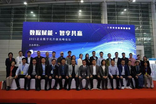 福建省信息技術咨詢服務行業協會會長陳維芳向全國人民拜新年